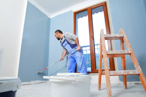 Mold Remediation for Vacation Homes in Vadnais Heights, MN