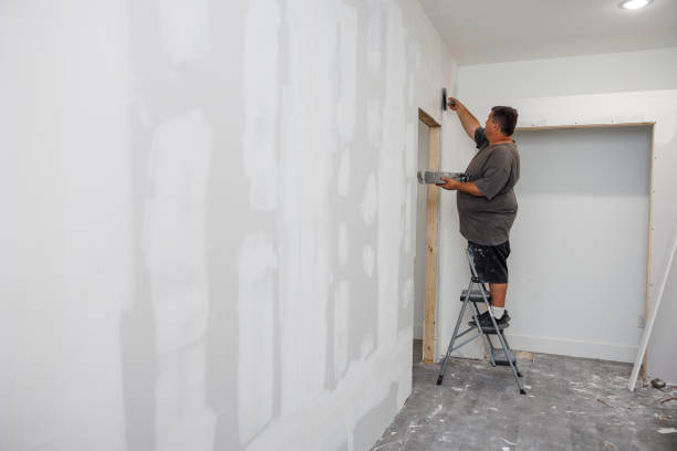 Best Post-Remediation Verification Testing  in Vadnais Heights, MN