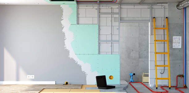 Best Commercial Mold Inspection  in Vadnais Heights, MN