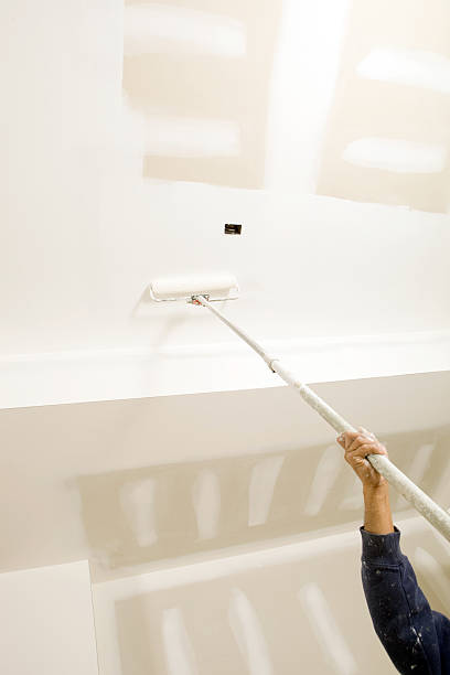 Best Biohazard Mold Removal  in Vadnais Heights, MN